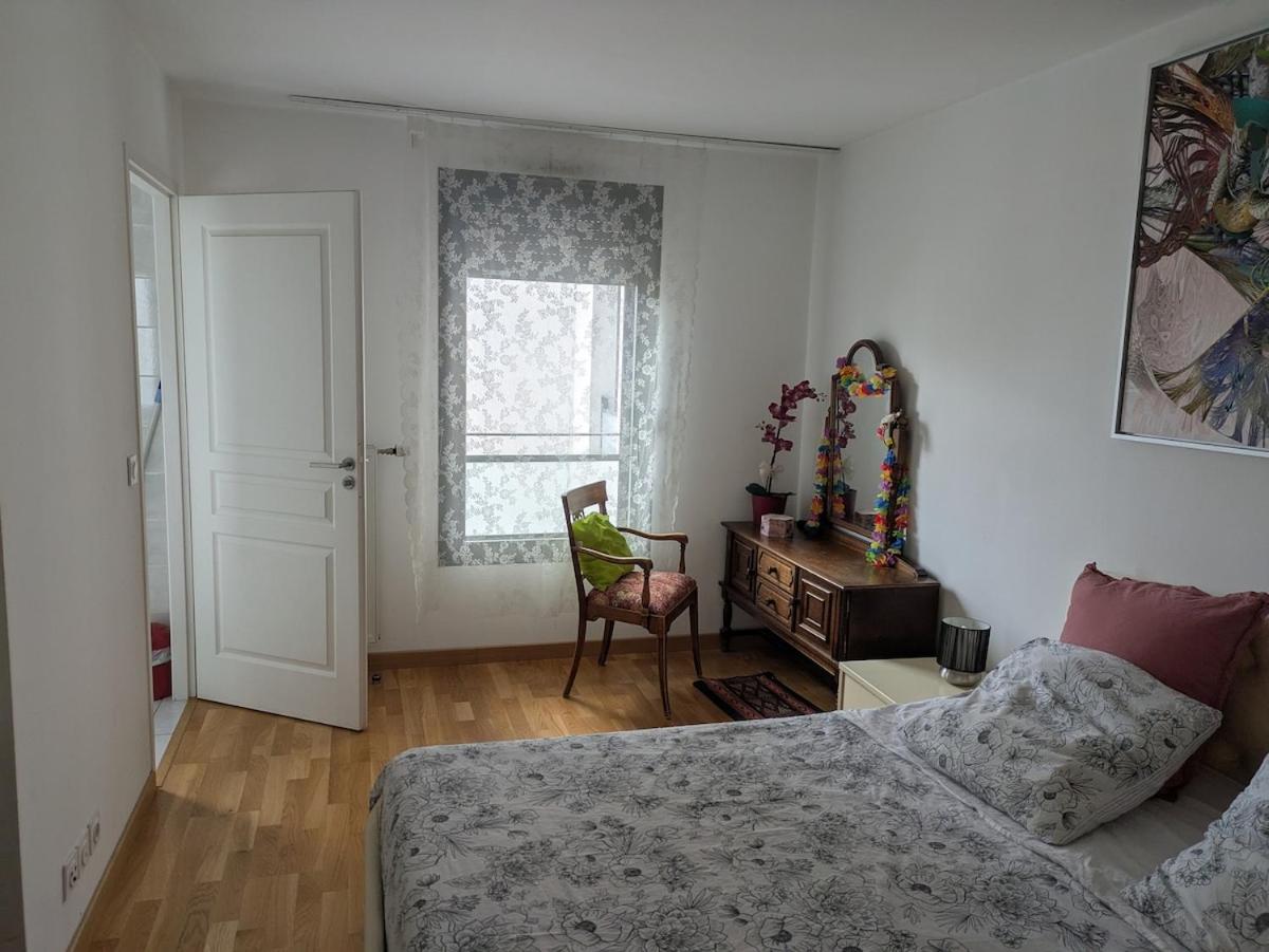 Beautiful flat around Geneva & its airport Palexpo