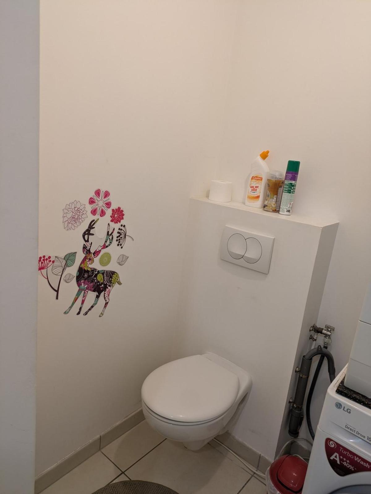 Beautiful flat around Geneva & its airport Palexpo