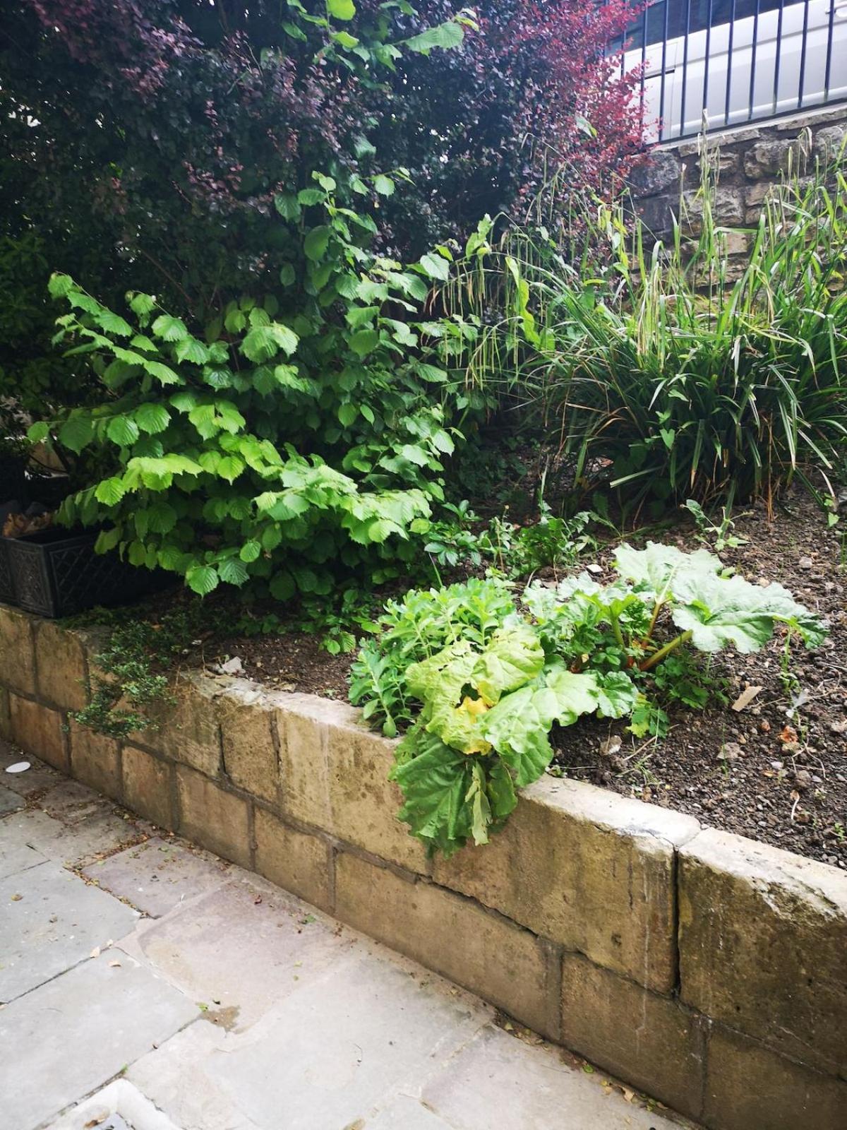 Lovely Garden Flat in Central Bath with Private Parking