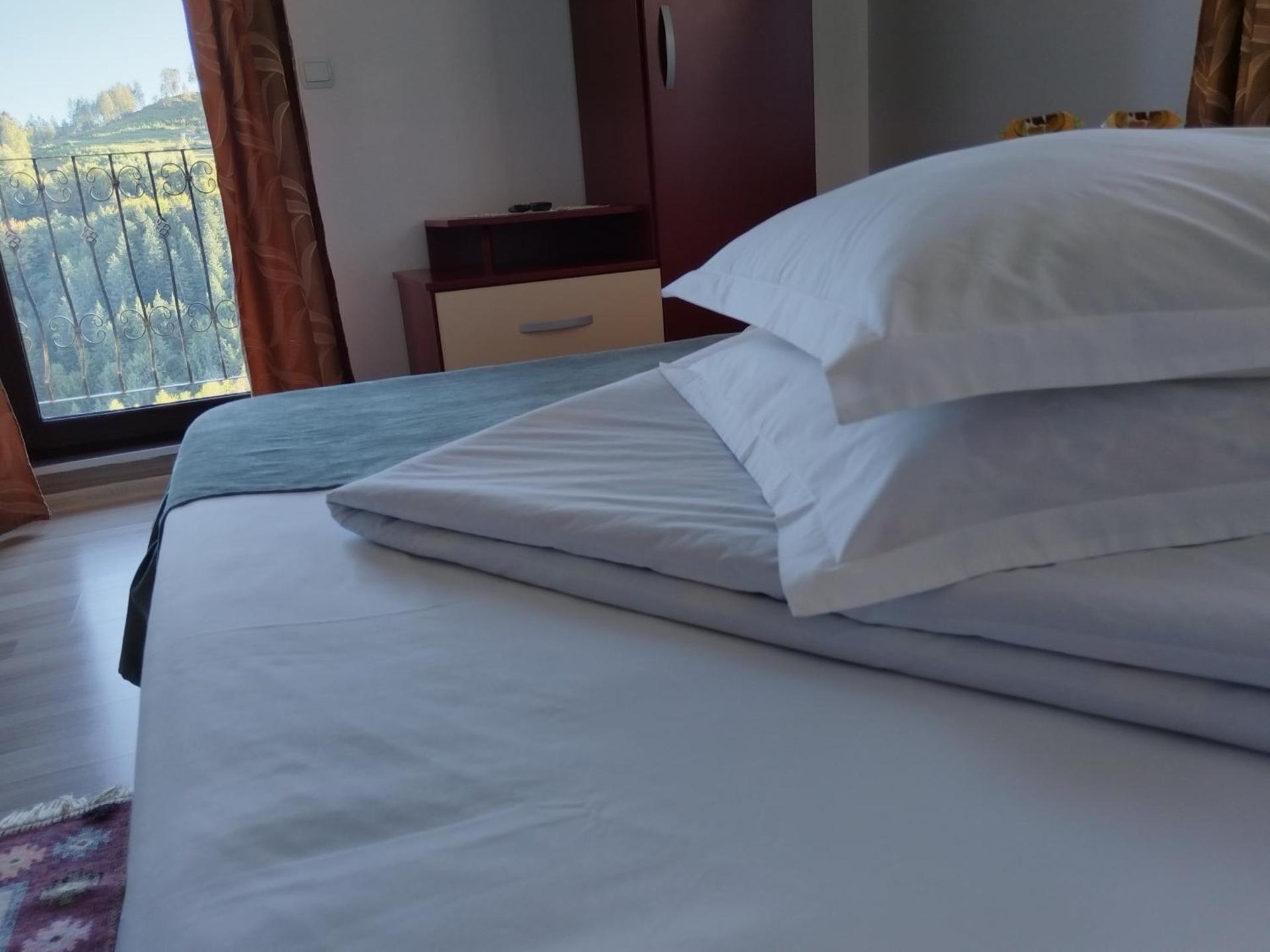 Garofita Pietrei Craiului