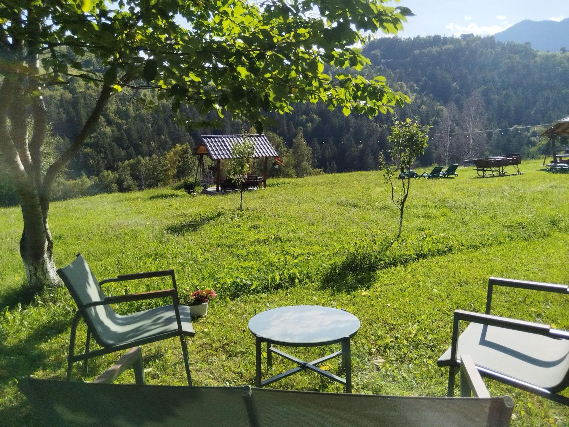 Garofita Pietrei Craiului