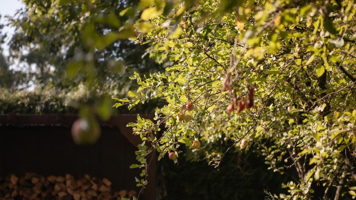 Luxe boshuis met Spa