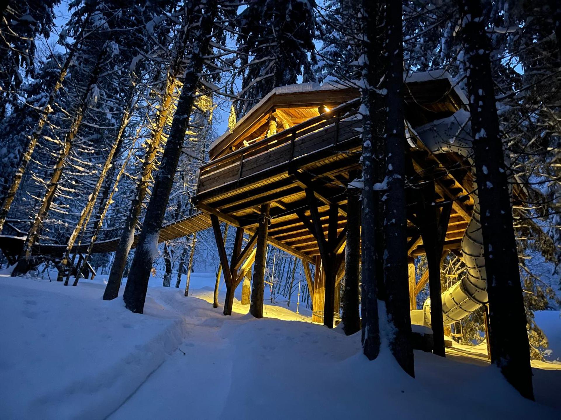 Cabane dans les arbres RUISSEAU