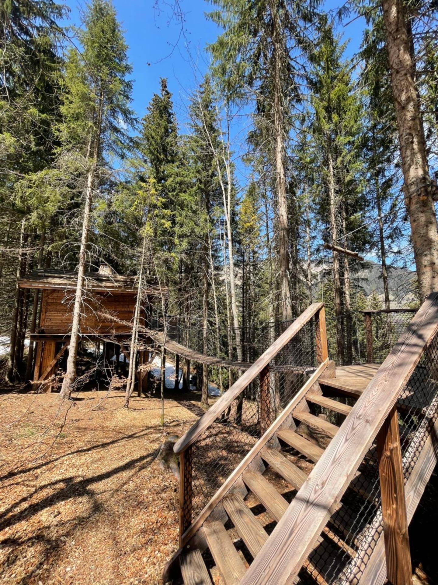Cabane dans les arbres RUISSEAU