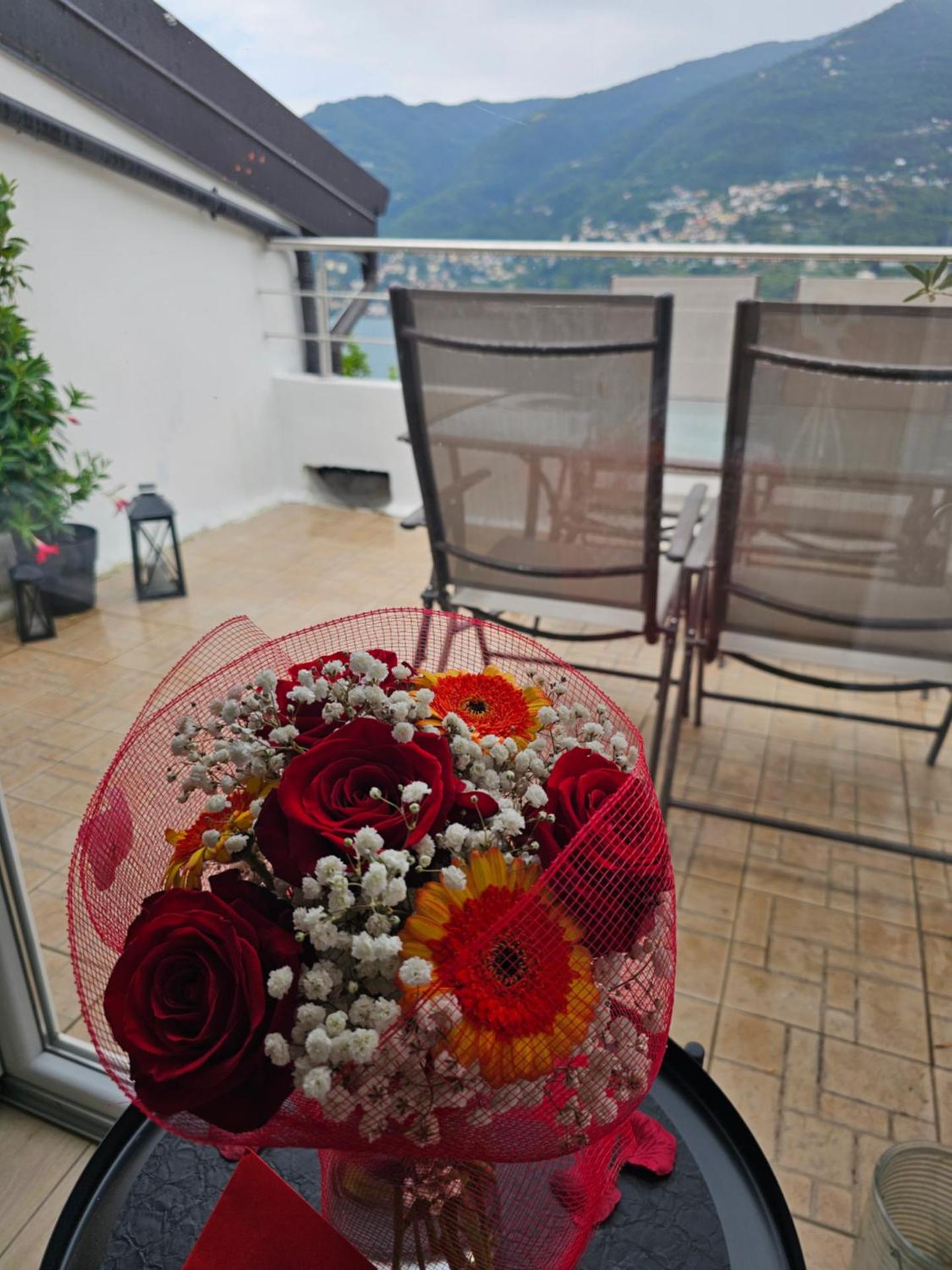 View (from property/room)