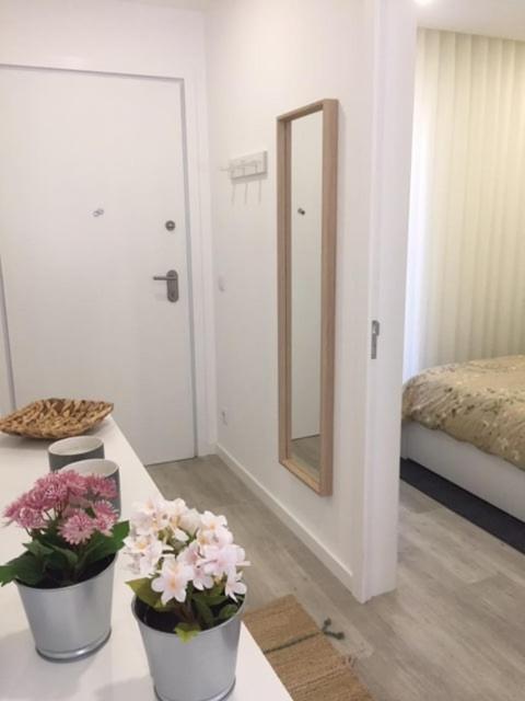 Heart of Aveiro - The Perfect Getaway