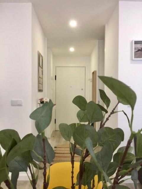 Heart of Aveiro - The Perfect Getaway