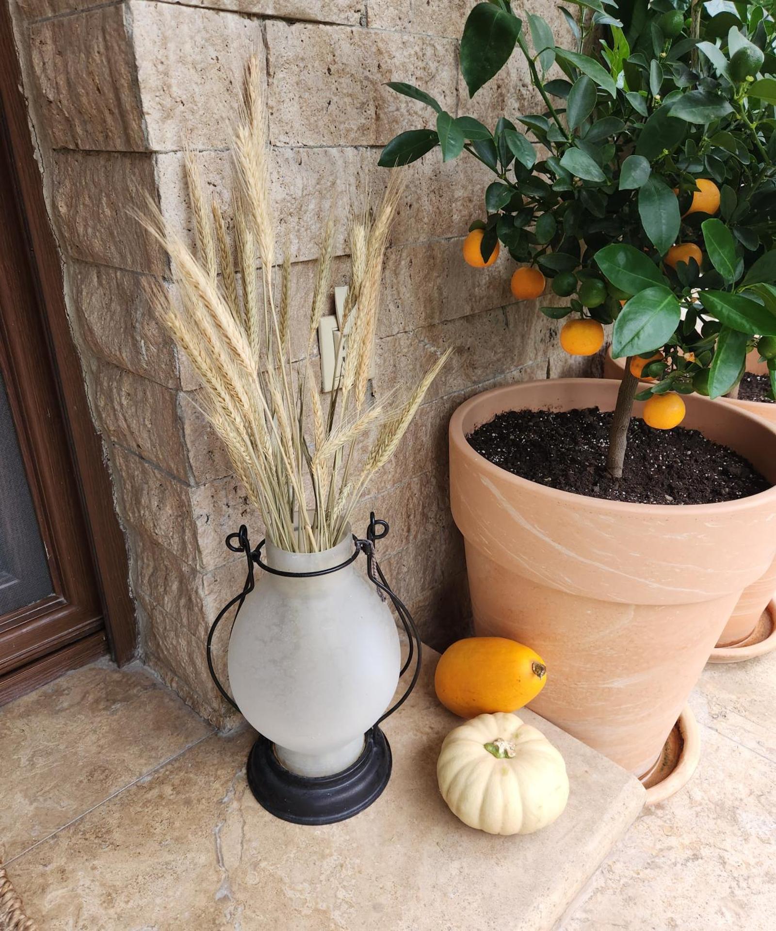 Garden's House Pozar in Aridaia