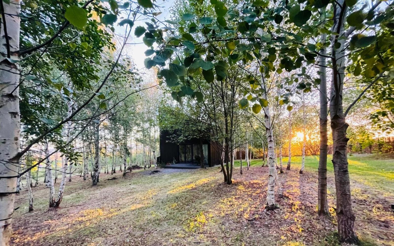 Drewniany dom w brzozowisku