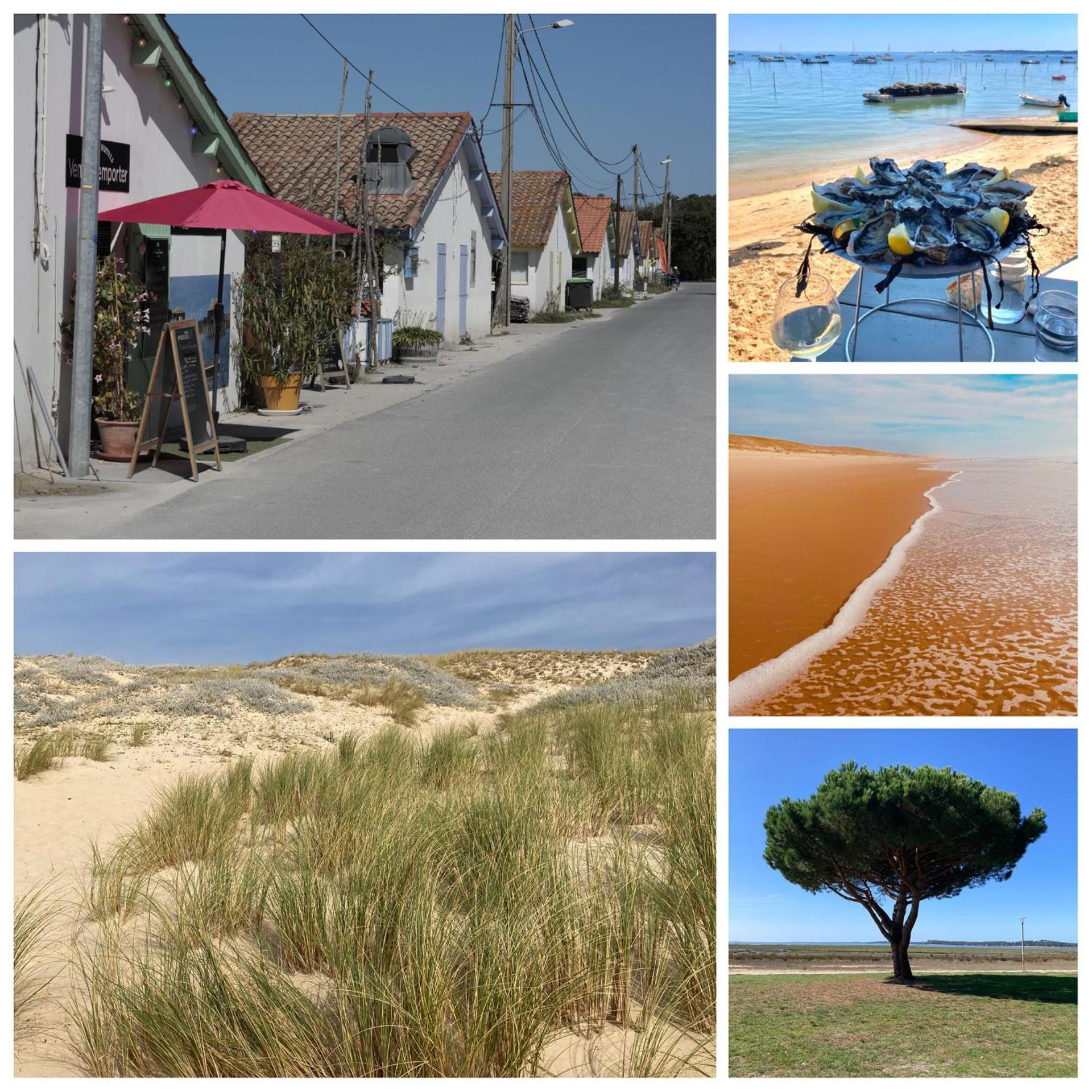 Appart & p'tit Jardin