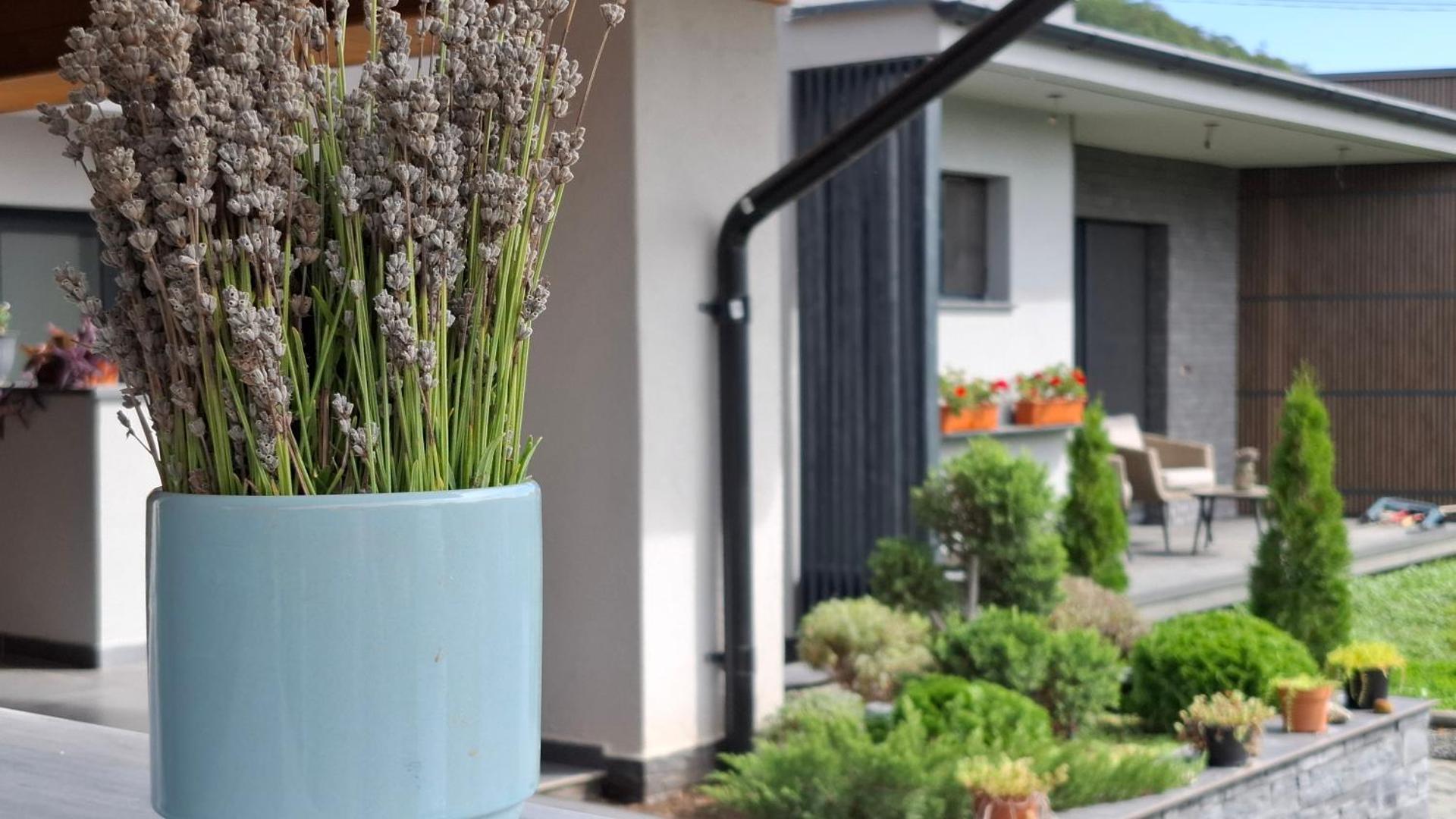 Villa with Garden View