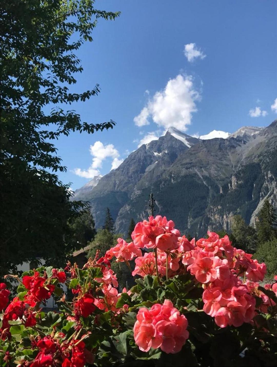 Studio Rämschfädra