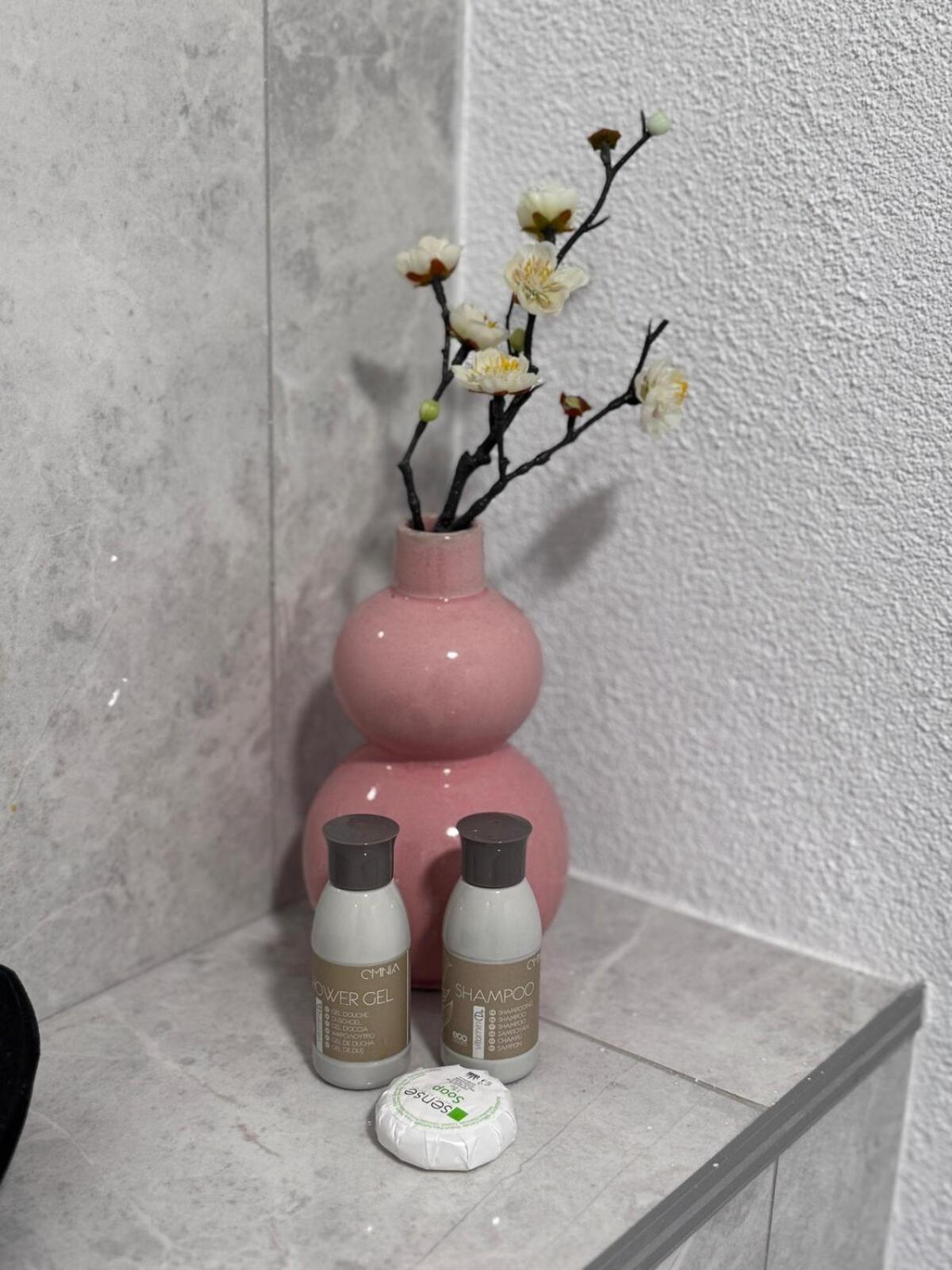 Apartament in Ploiesti 1