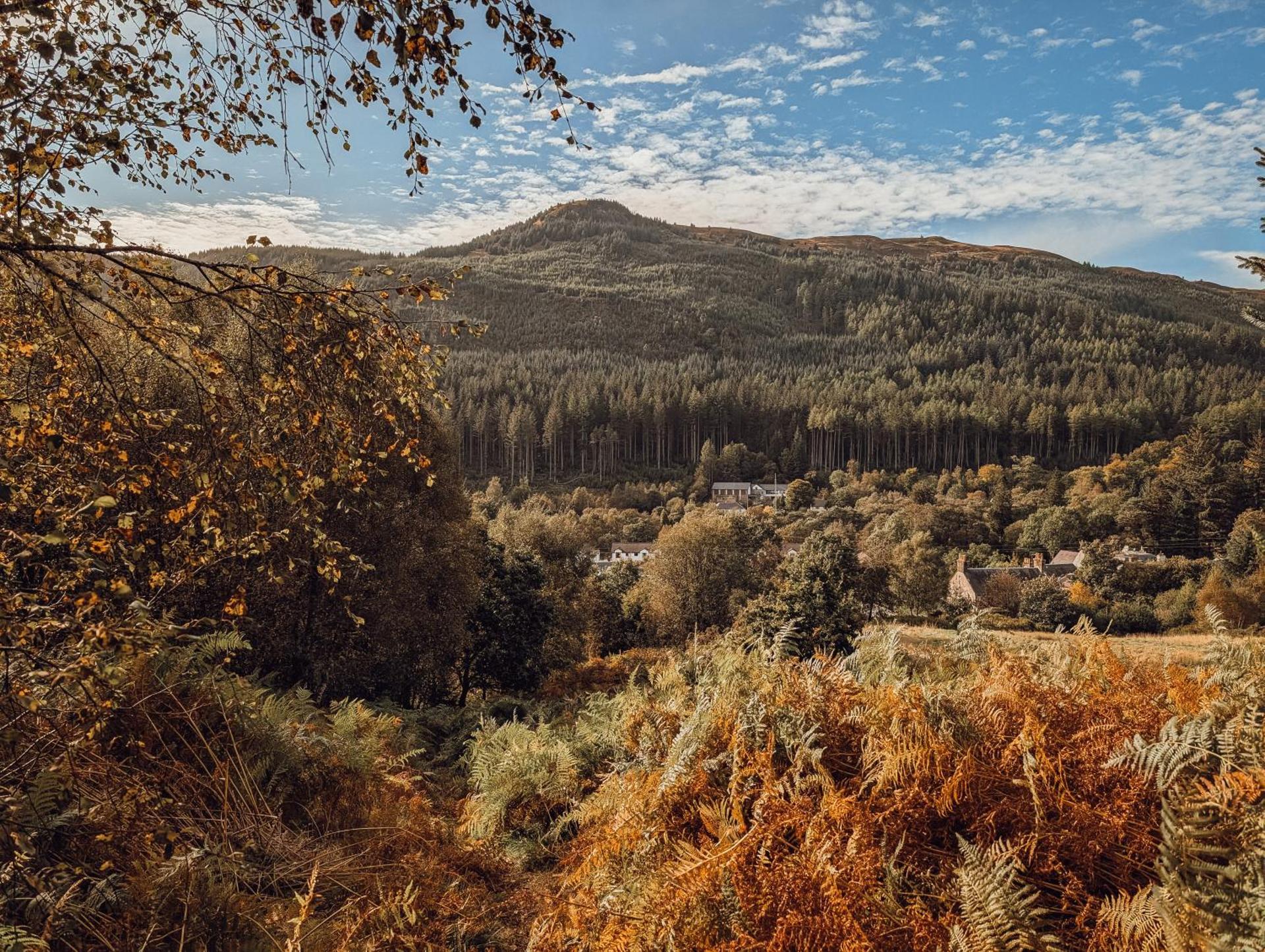 Strathyre Camping Pods