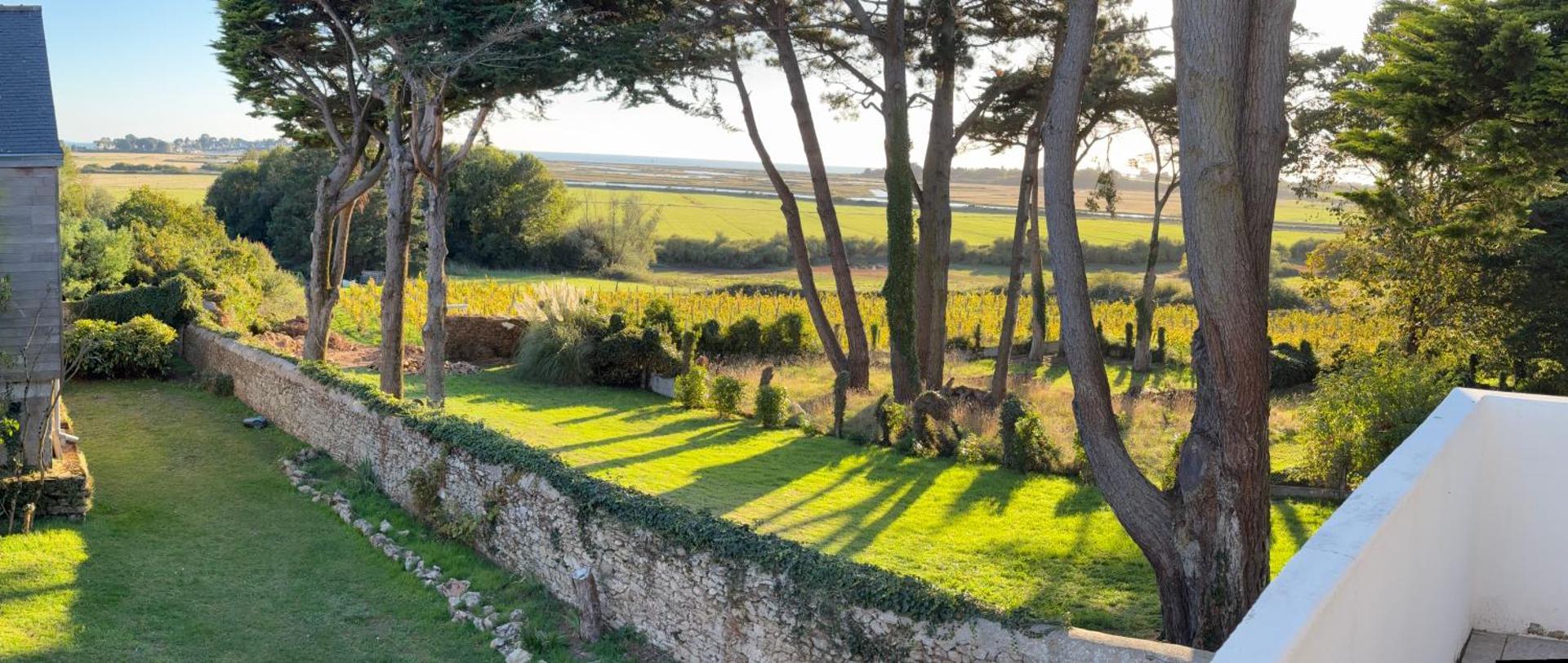 Villa Vieilles Vignes vue mer