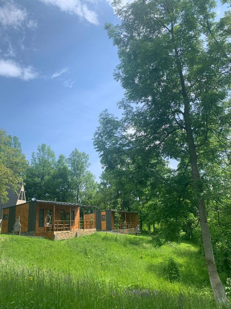 Casutele din Poienita