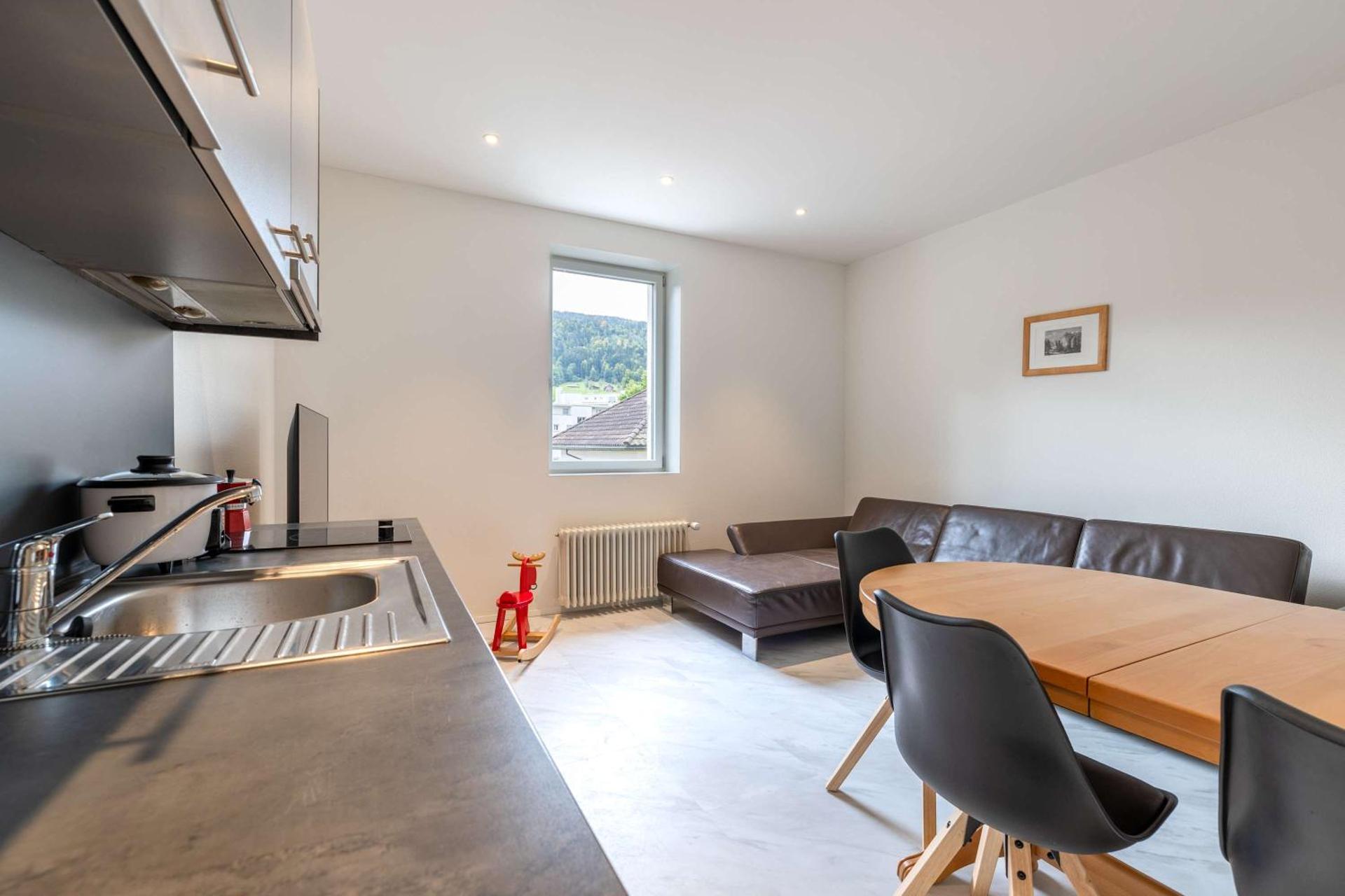 Mount Pilatus view Apartment Lucerne with free parking & WIFI