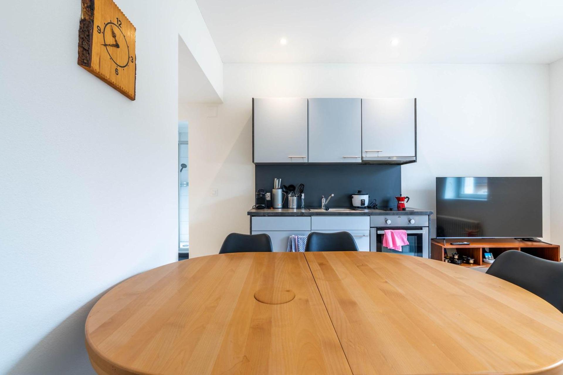 Mount Pilatus view Apartment Lucerne with free parking & WIFI