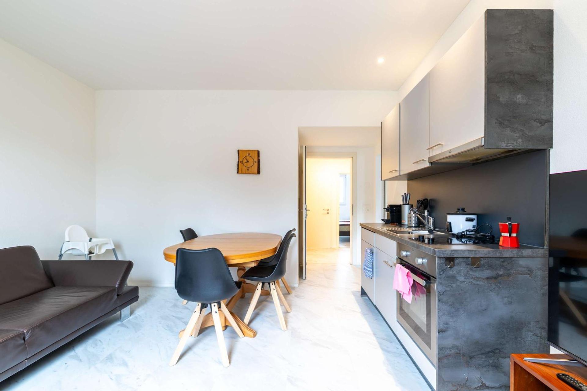 Mount Pilatus view Apartment Lucerne with free parking & WIFI