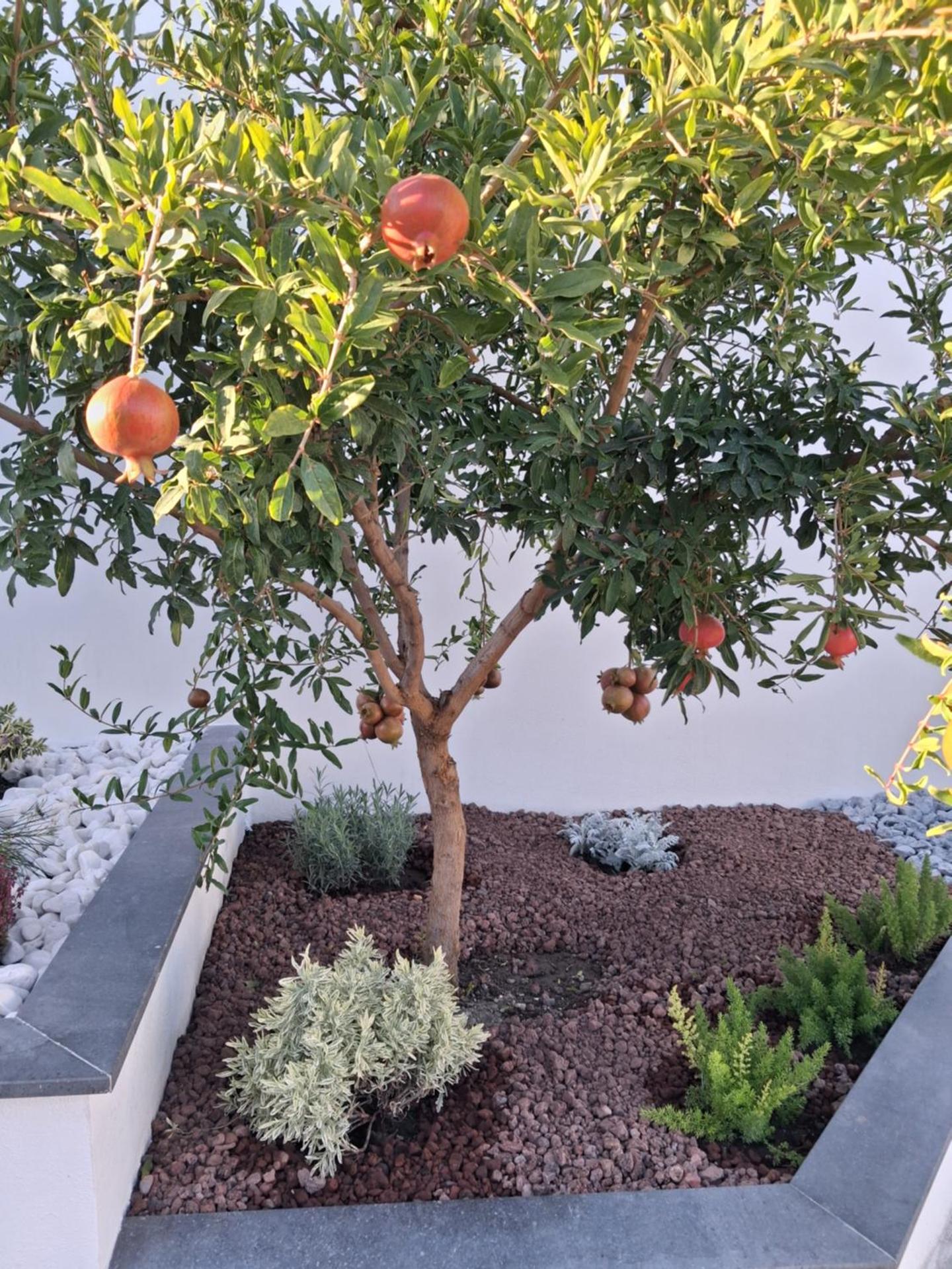 Dimora da Anna tra Amalfi e Sorrento