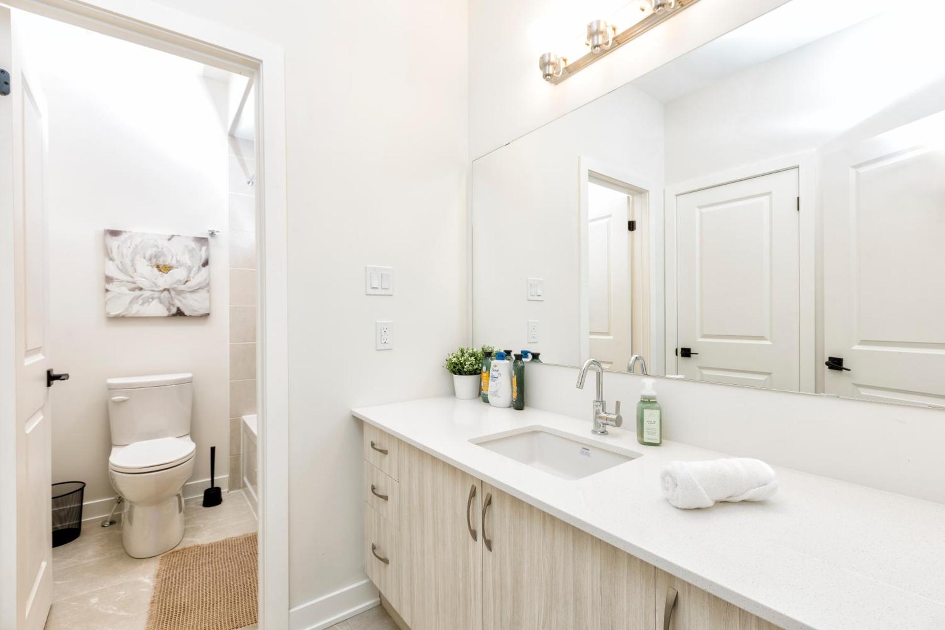 Birch n Blanket BBQ Fire Pit Pingpong BigConnect4