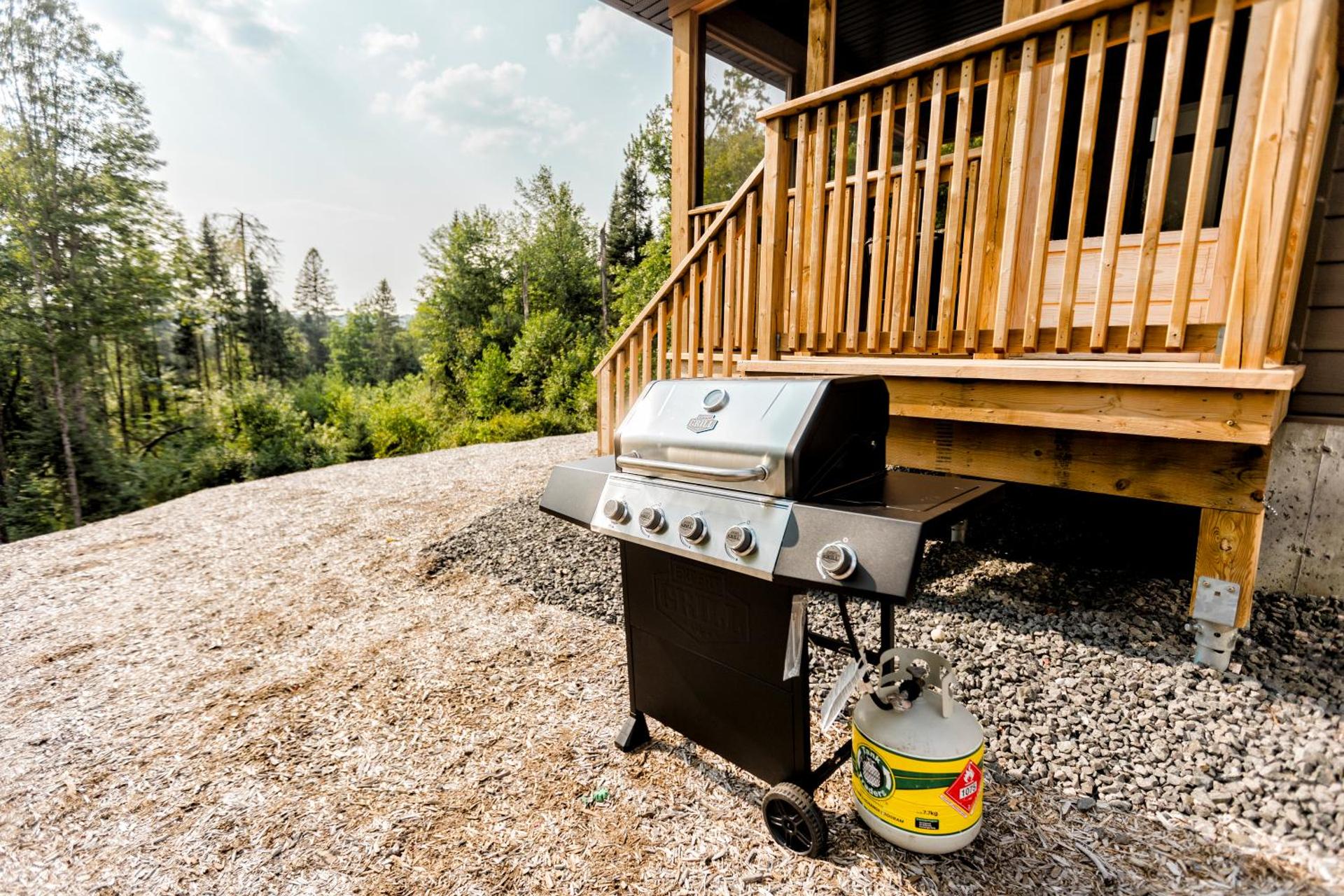 Birch n Blanket BBQ Fire Pit Pingpong BigConnect4