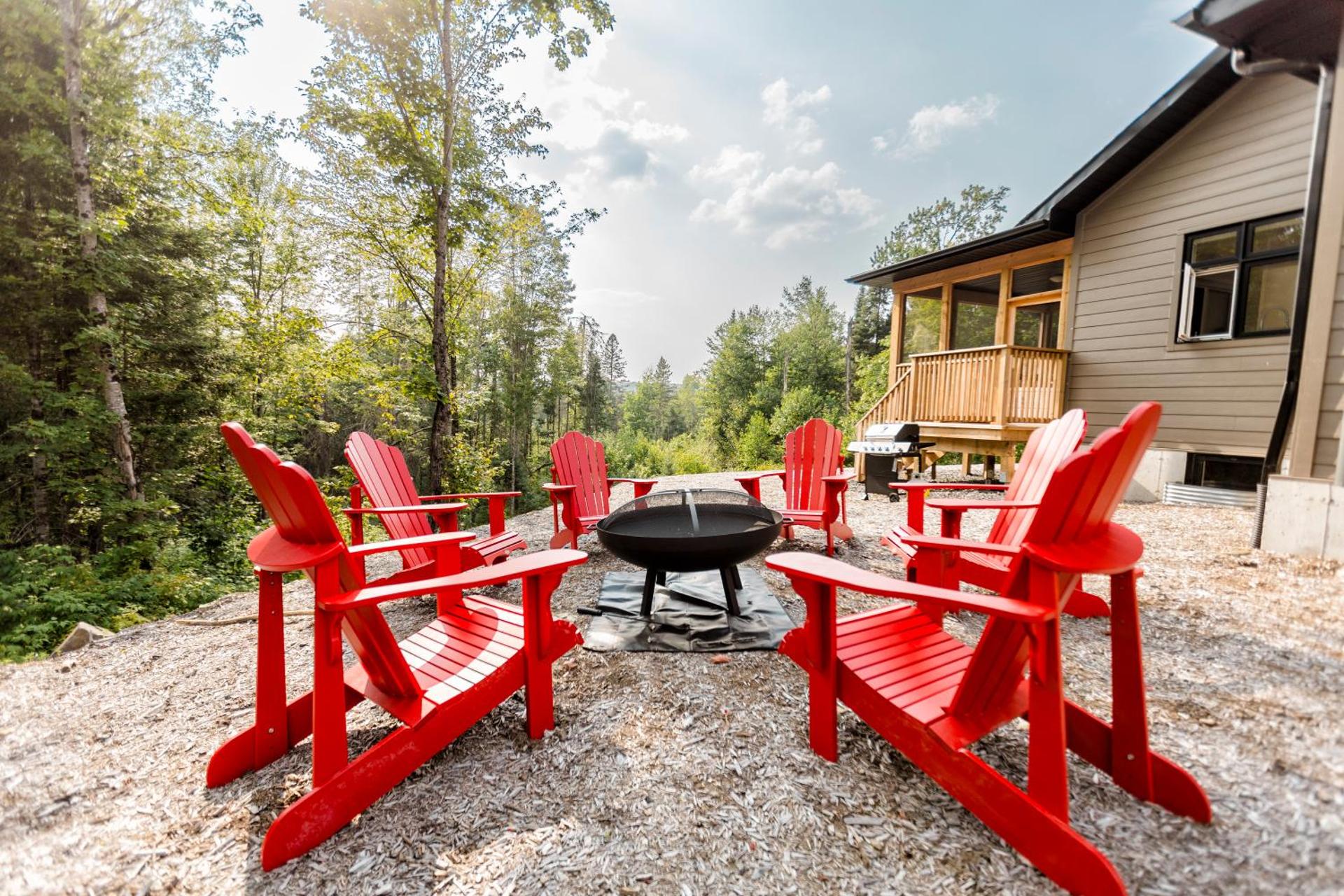 Birch n Blanket BBQ Fire Pit Pingpong BigConnect4