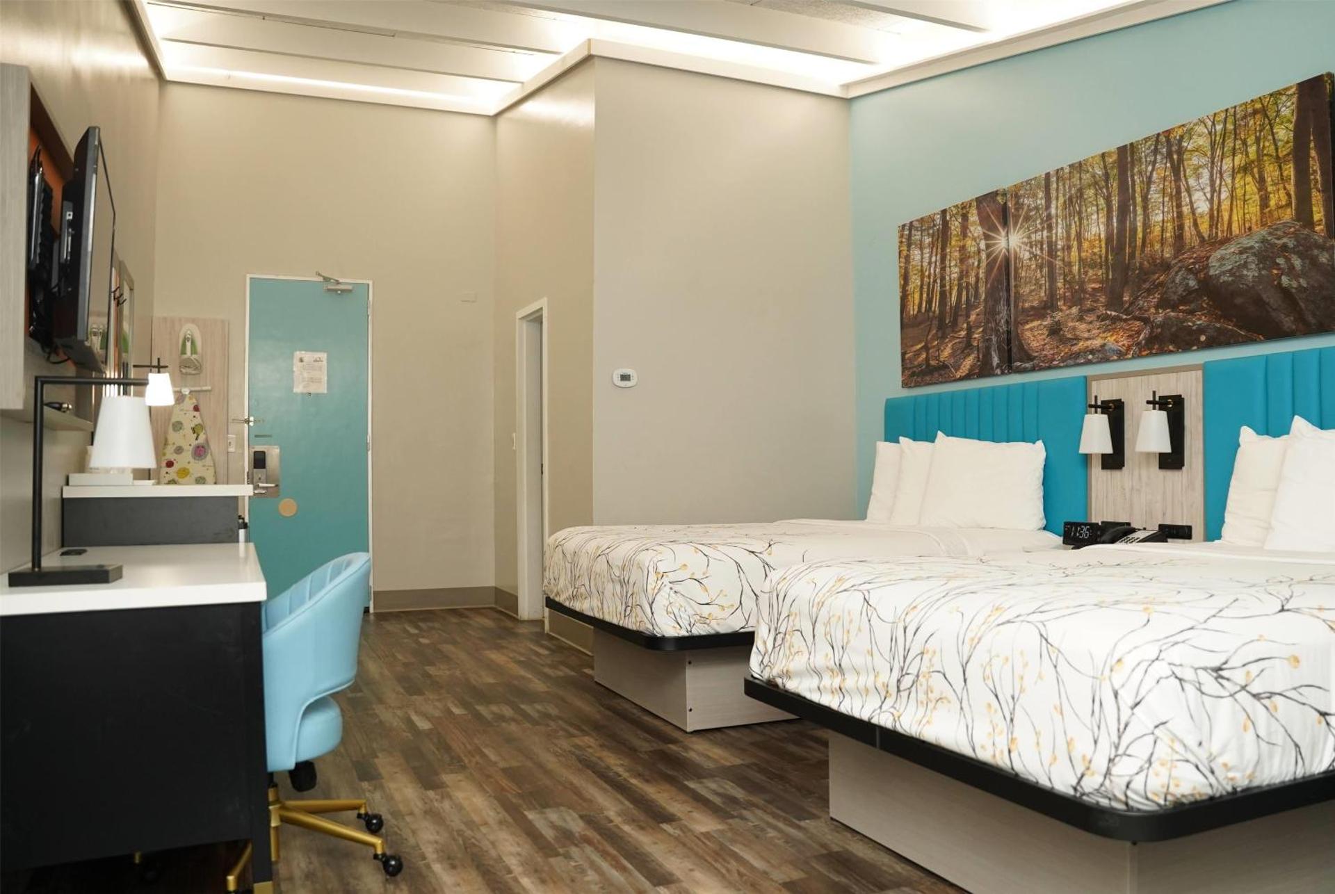 Photo of the whole room