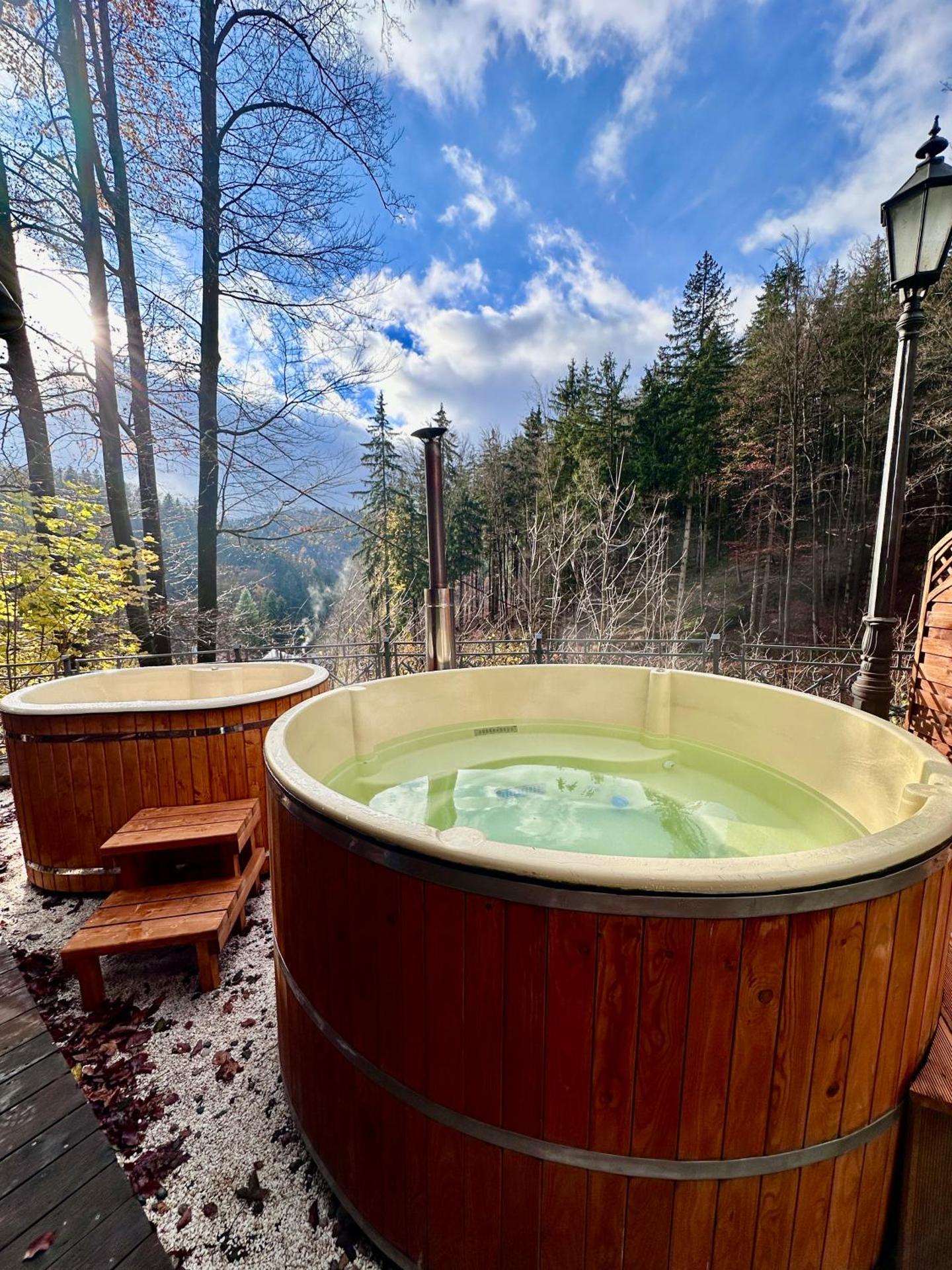 Pensjonat Alpejski Dwór