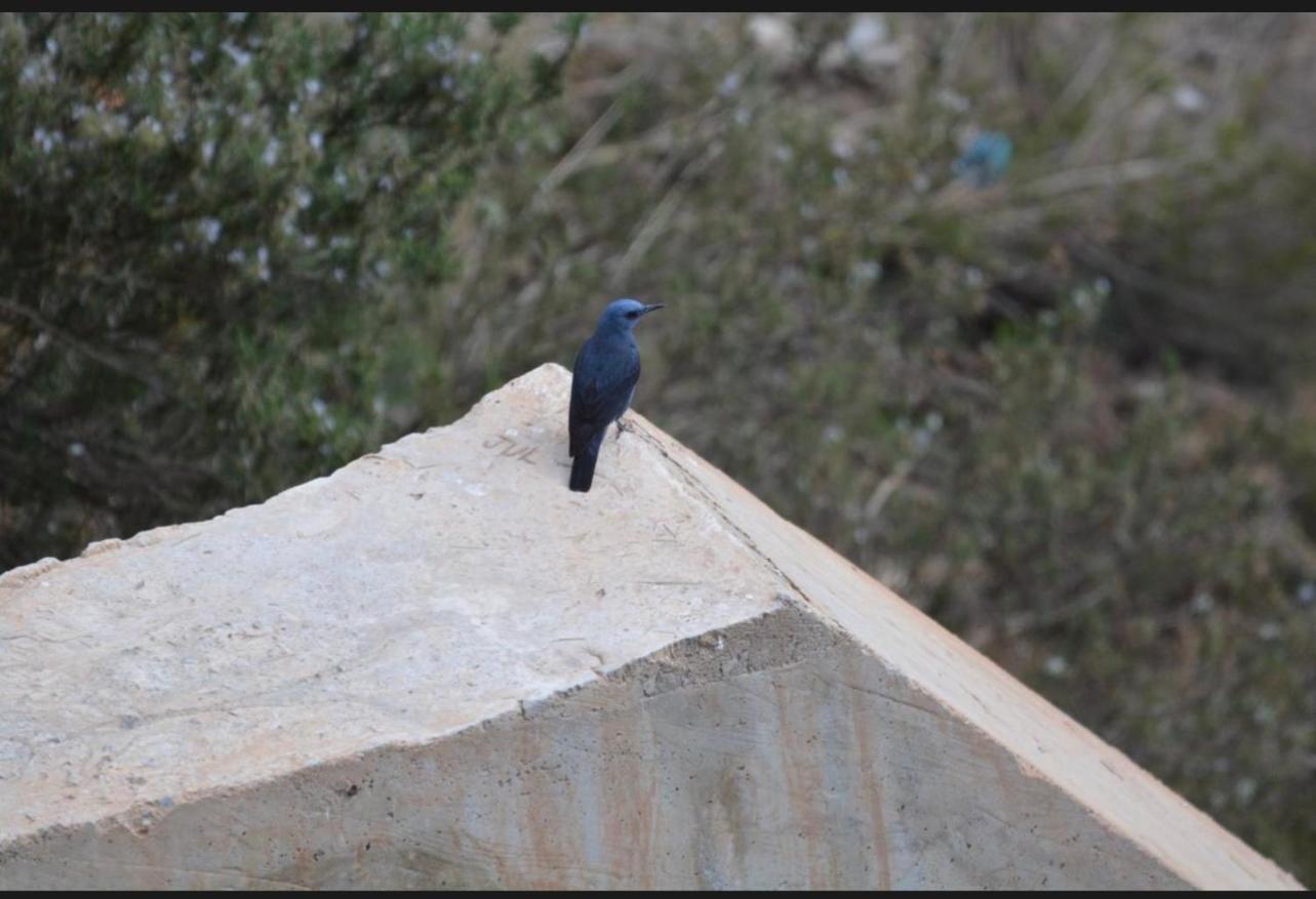 Apartamentos Axarquia , Frigiliana, terraza privada con vistas a la montaña rio y al mar