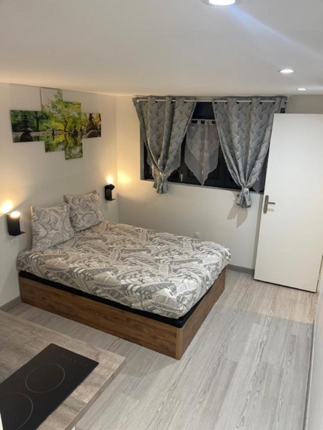 Silver Stuidio ARENA , Stade Groupama , Eurexpo