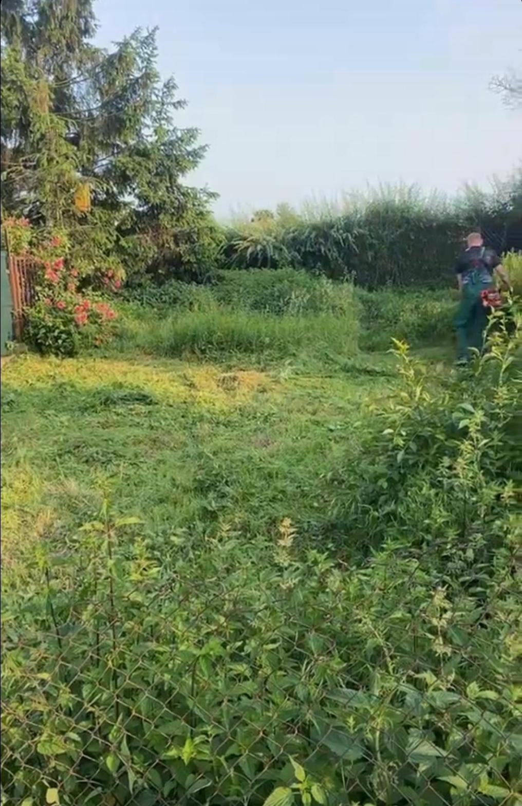 Miejsce na namiot w Błońskim LeoLandzie