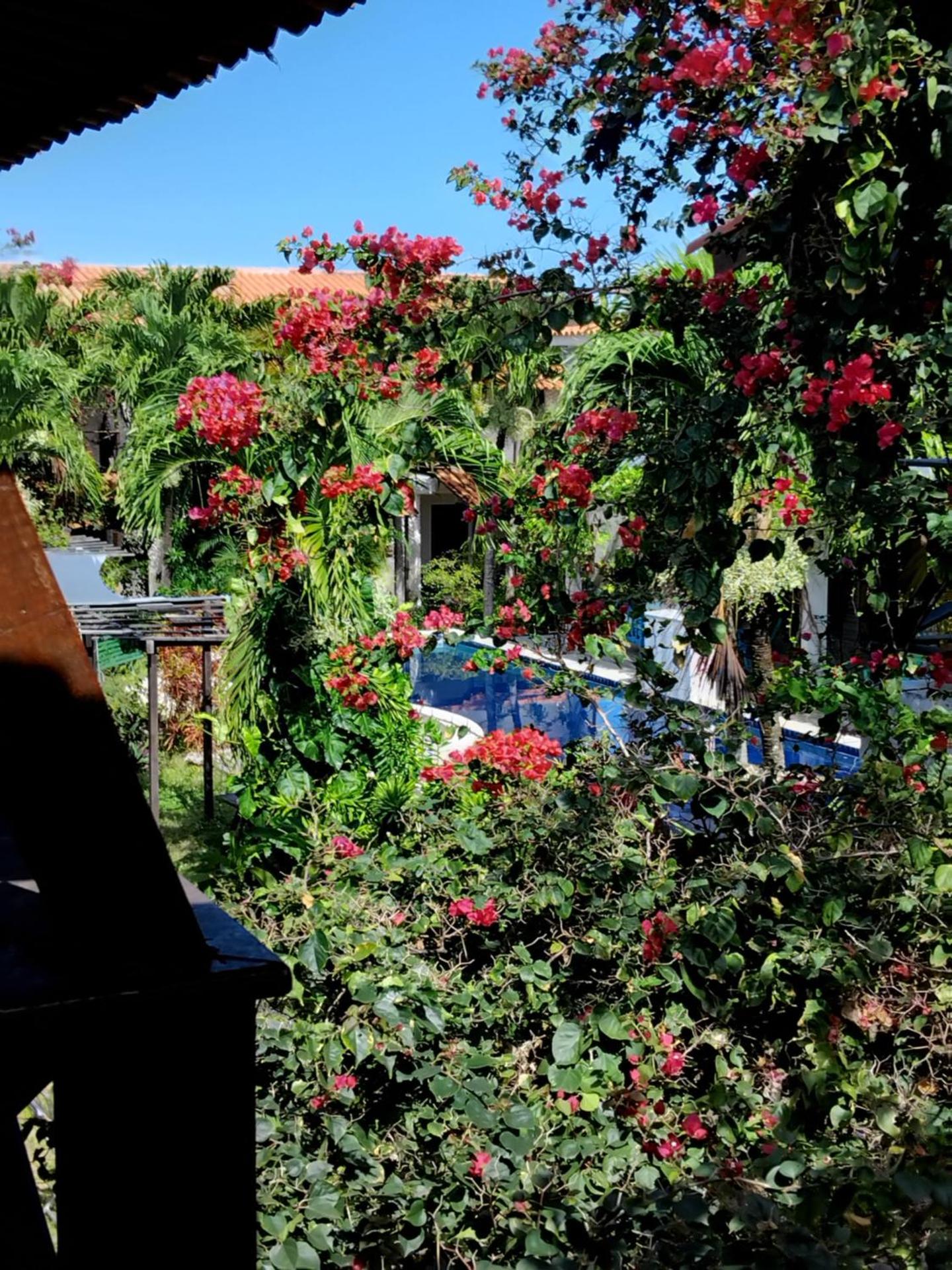 Falésias de Carapibus