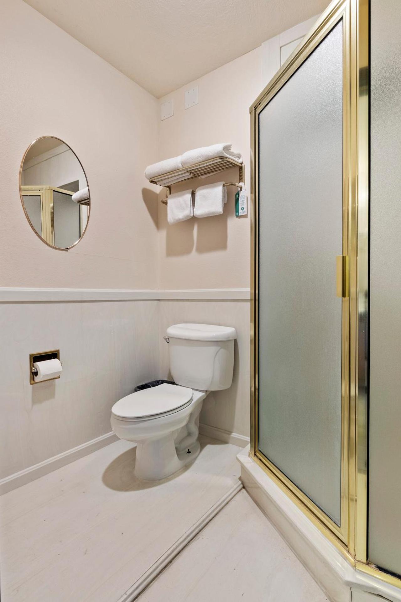 King Suite with Walk-In Shower and Jetted Tub