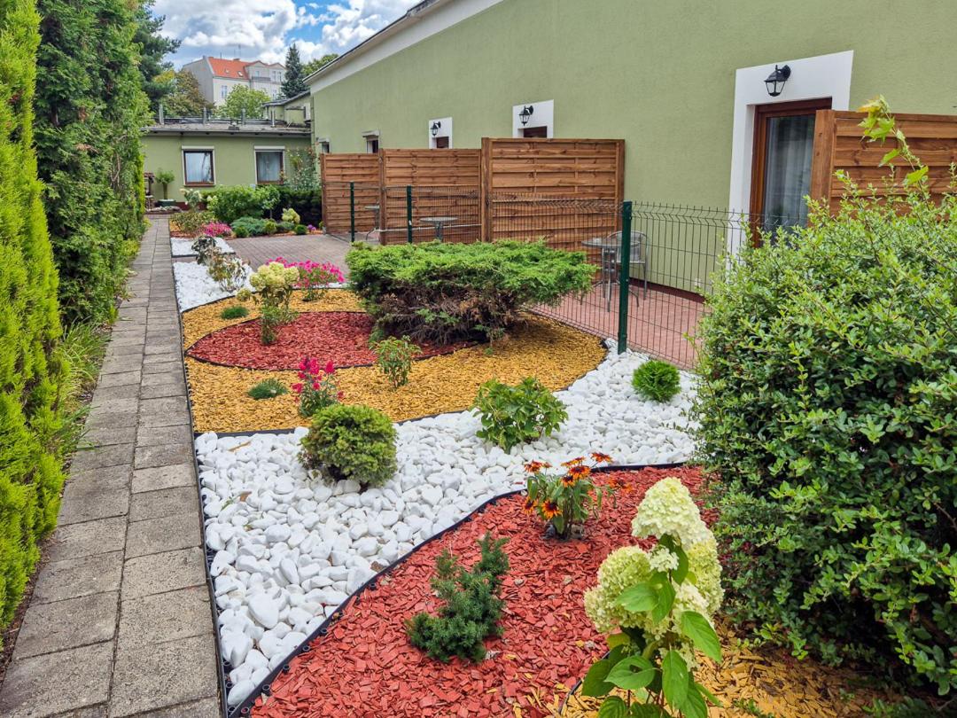 Single Room with Terrace