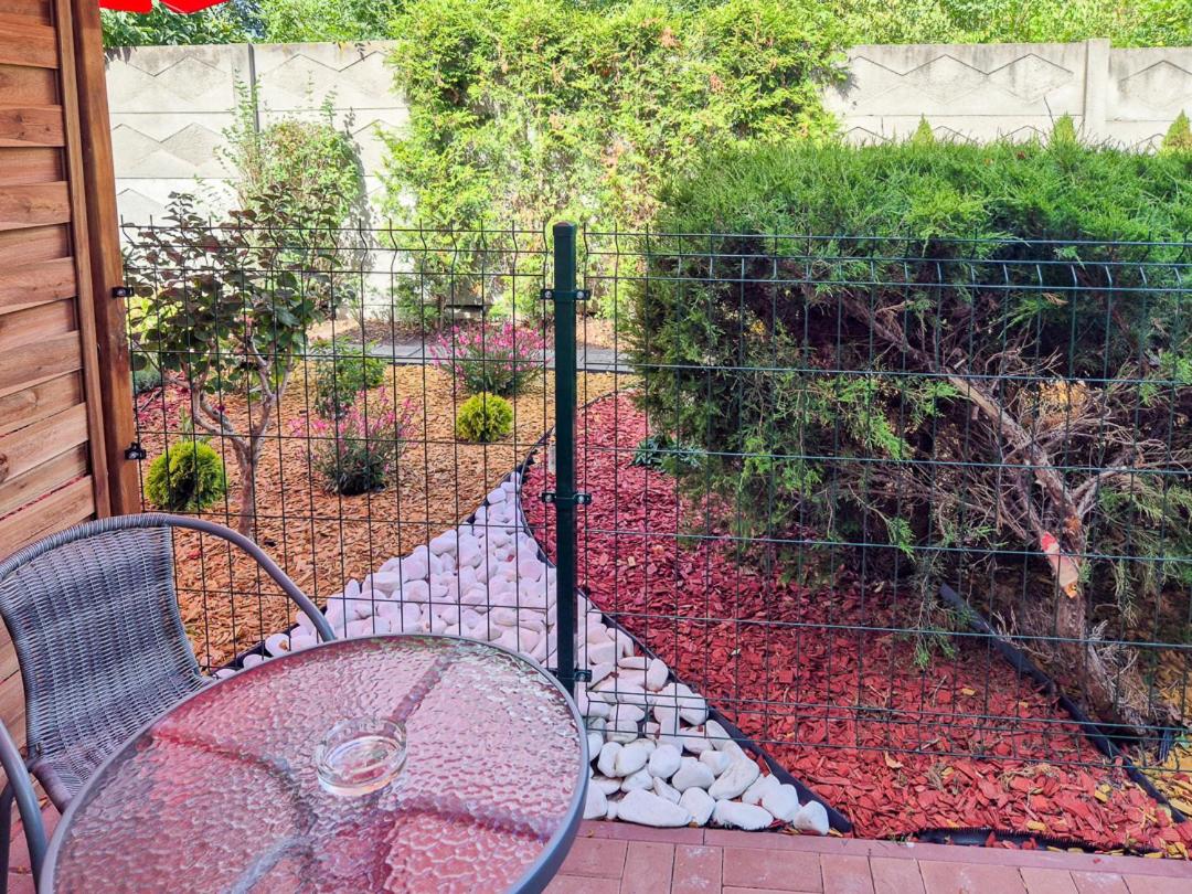 Single Room with Terrace