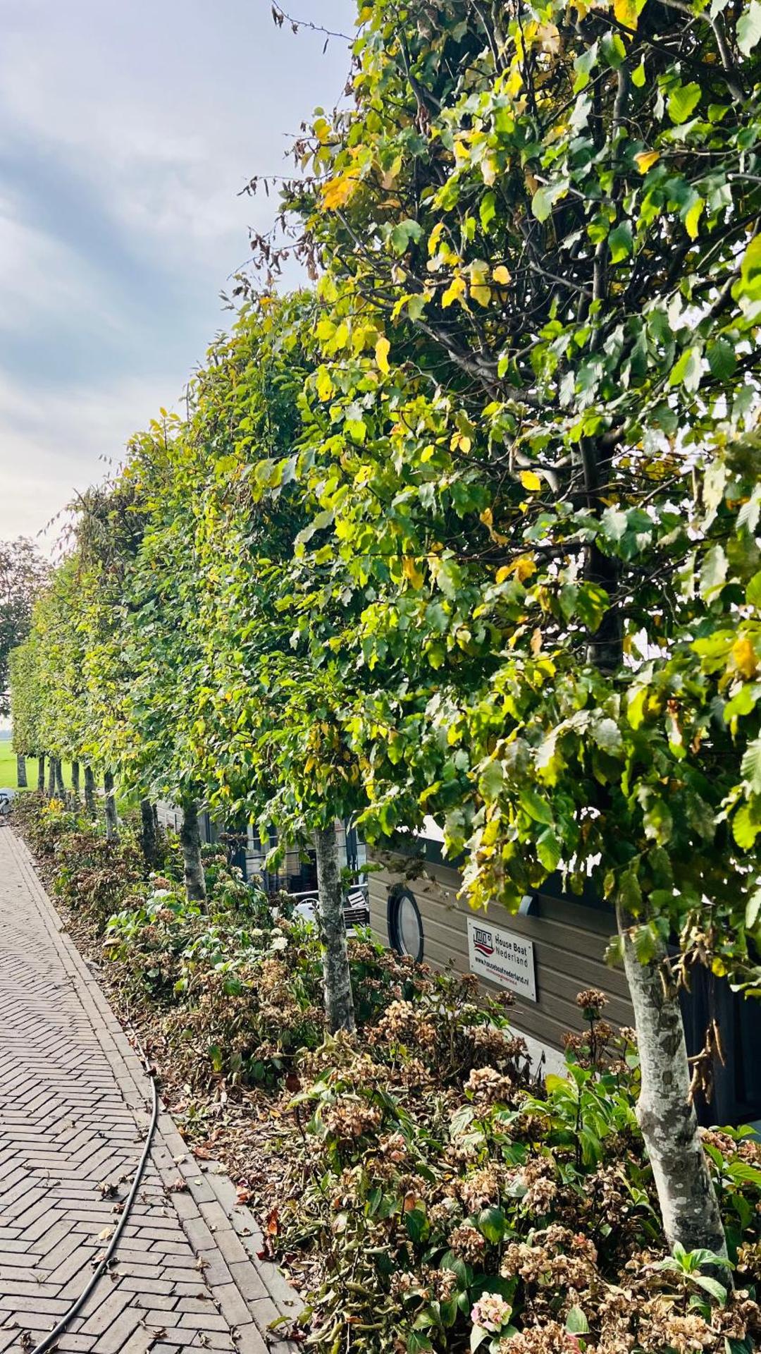 Rode Houseboat Zwartsluis