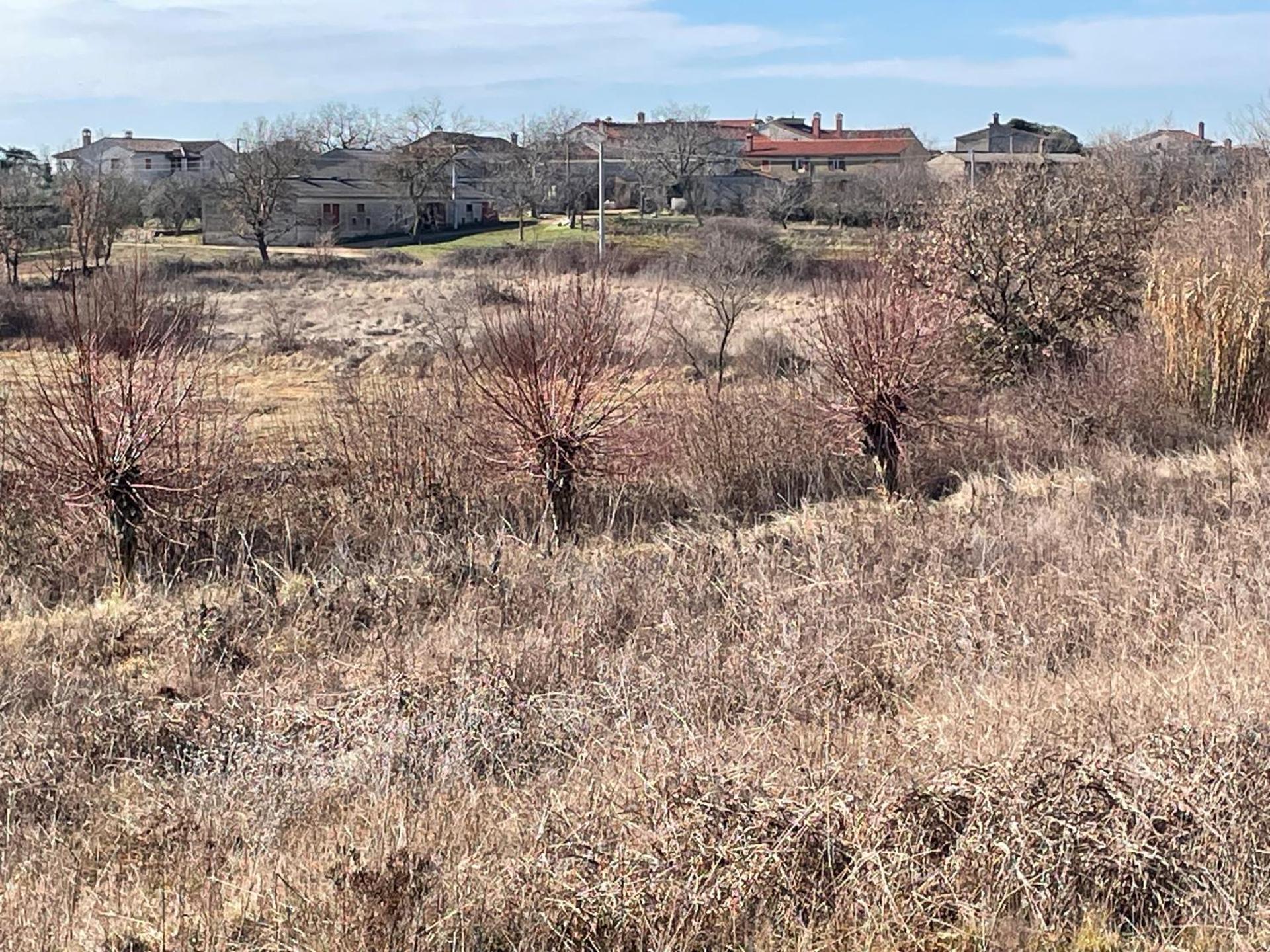 Holiday Home Ava1 with pool & Holiday Home Ava2 with whirlpool