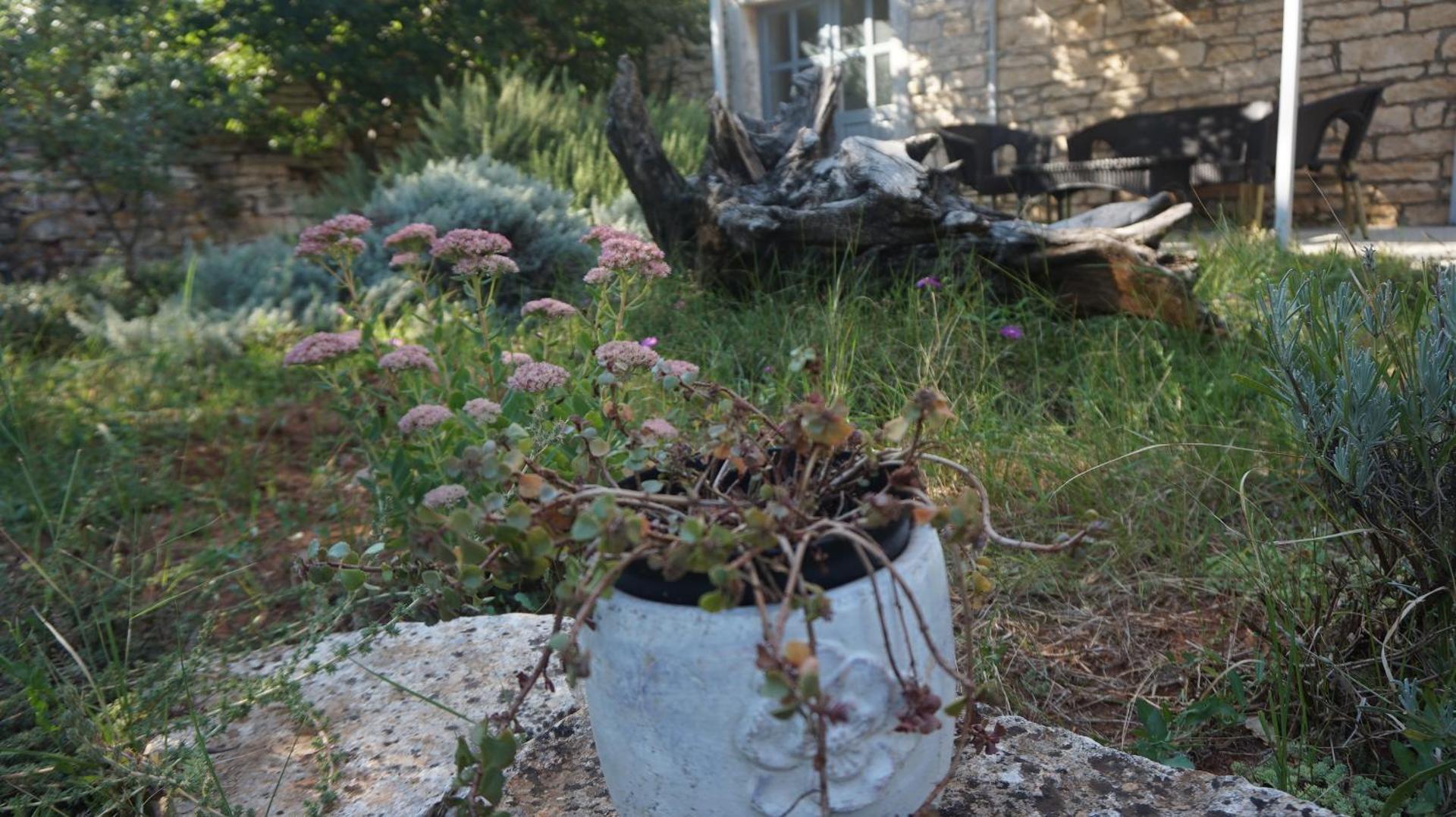 Holiday Home Ava1 with pool & Holiday Home Ava2 with whirlpool