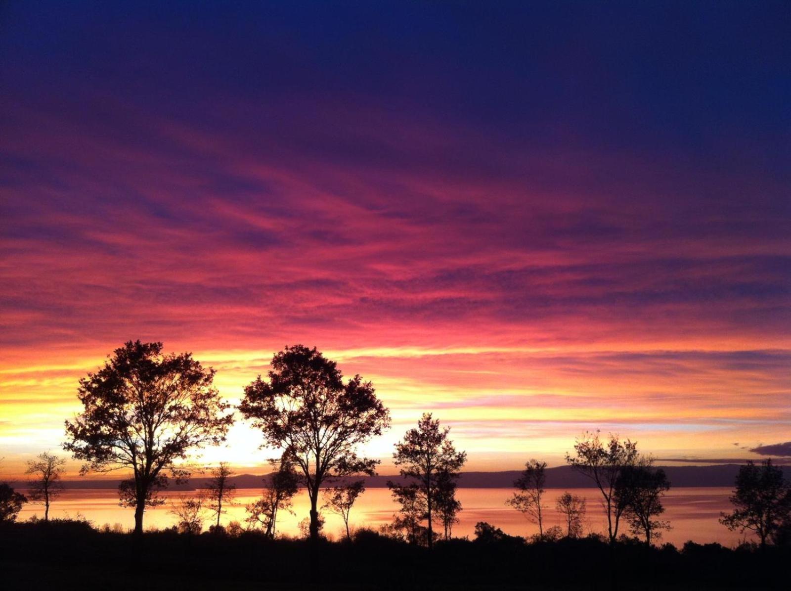 Luxury Apartment Lake View