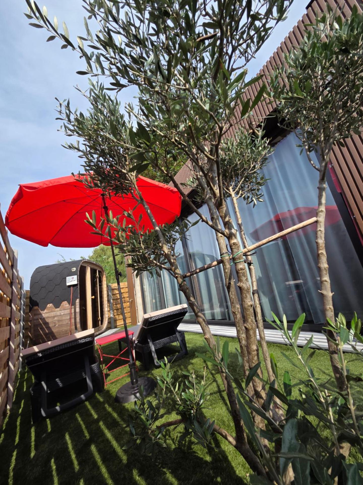 Escapade Romantique à Saint Omer-Espace Totalement Privatisé Avec Terrasse