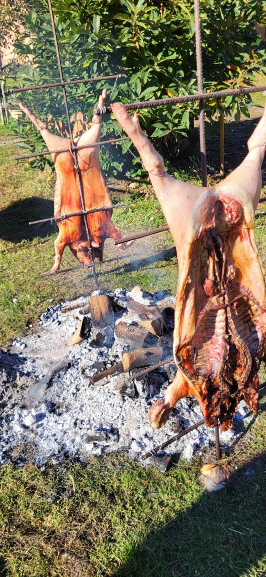 Splendido attico per chi ama escursioni nella natura