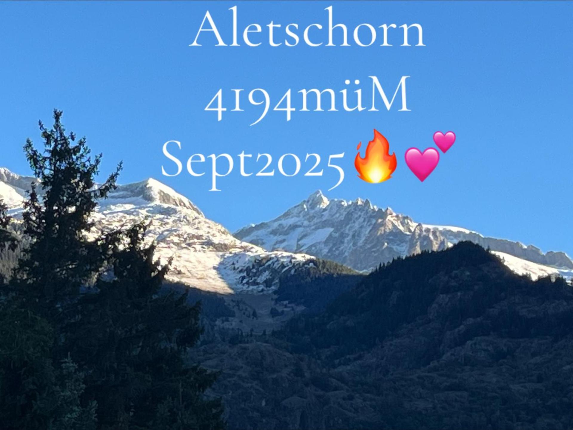 Historische Maisonettewohnung bis 10 Gäste, Magic Pass Belalp, Rosswald und mehr