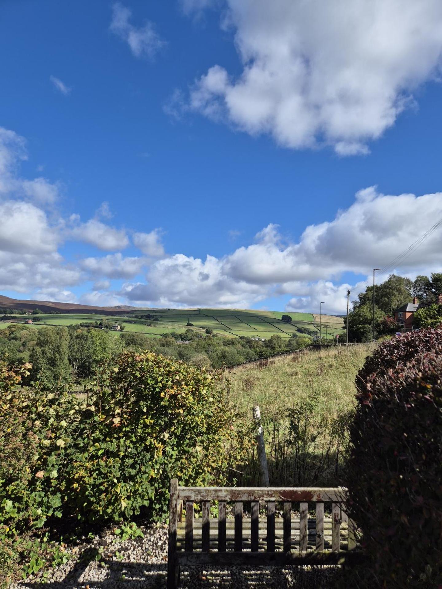 View (from property/room)