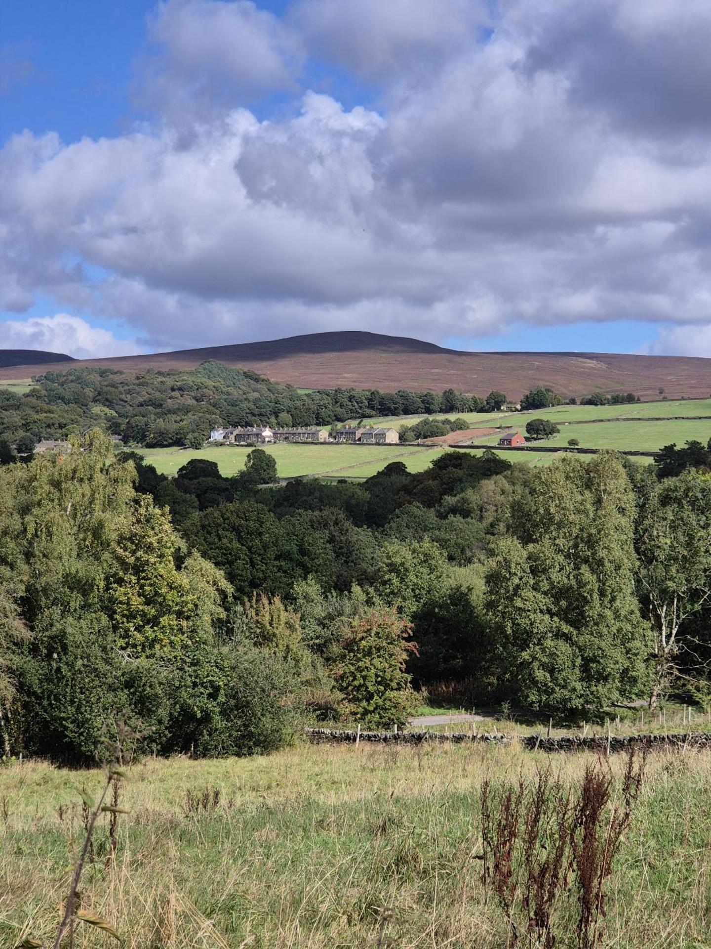 View (from property/room)