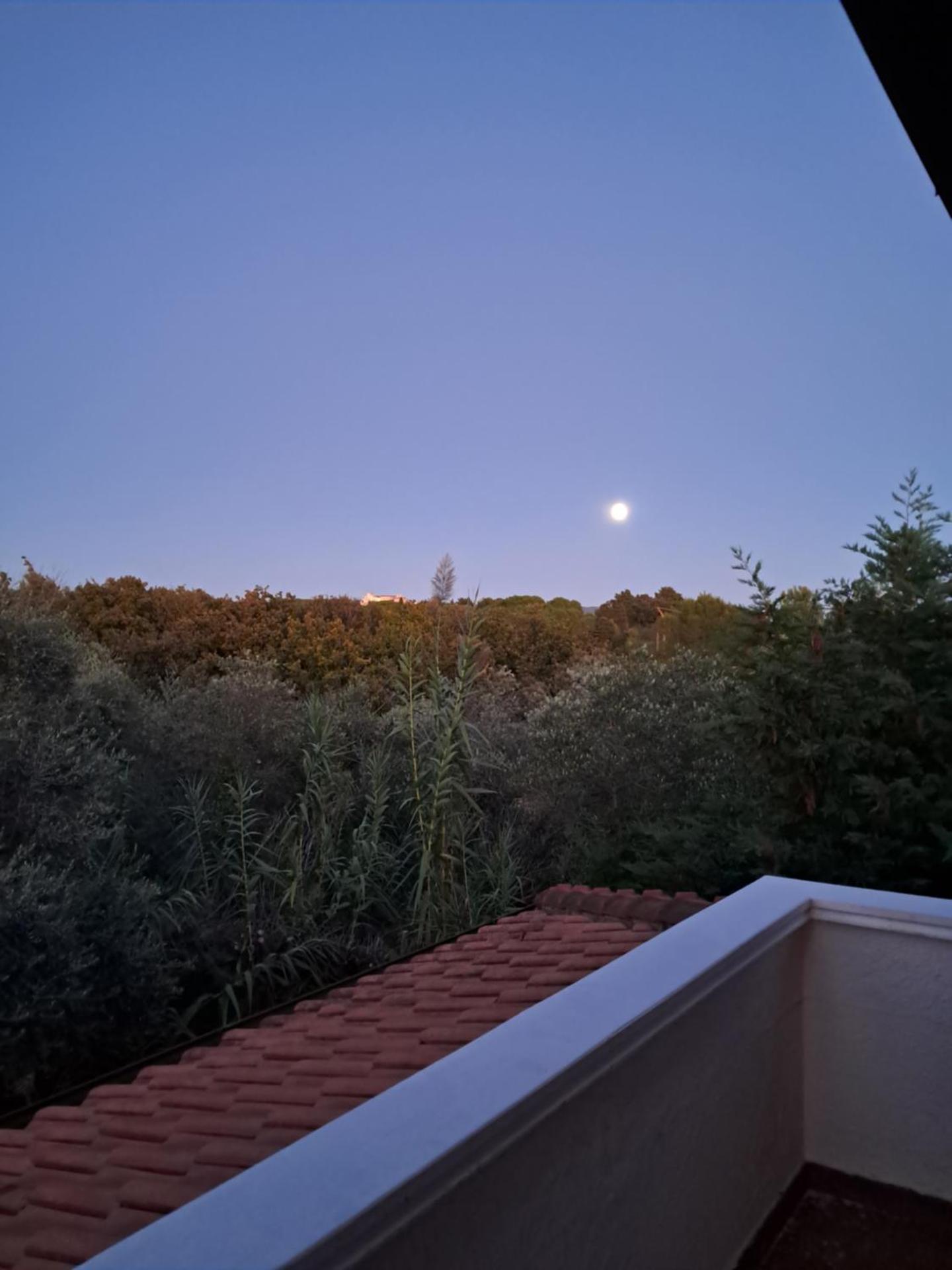 Monolocale x 2 a 1,6 km da Castiglioncello