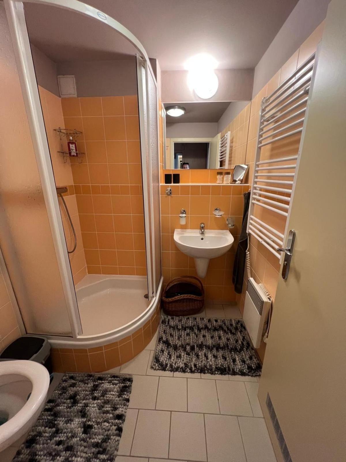 Apartmán v Srdci hor - Říčky v Orlických horách