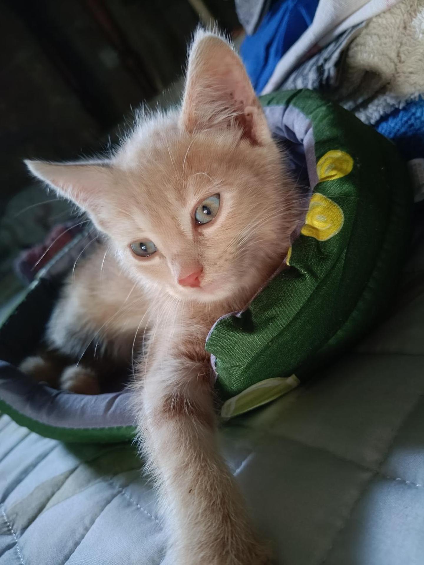 Affittacamere Paradiso, turismo rurale