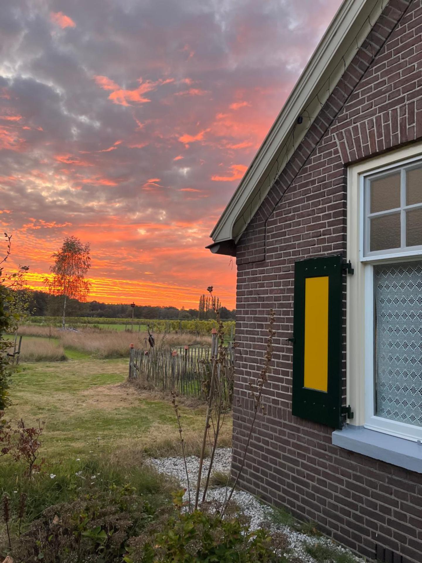 Erve Zonnehoeve B&B en Wijngaard
