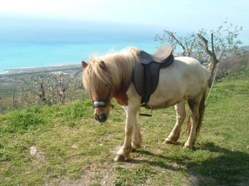 Agriturismo La Palombara